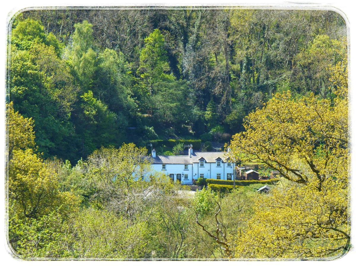 River Cottage St Asaph Kültér fotó