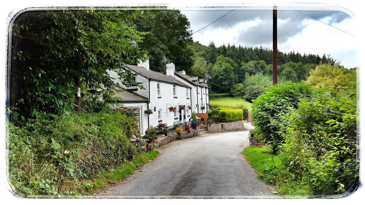 River Cottage St Asaph Kültér fotó