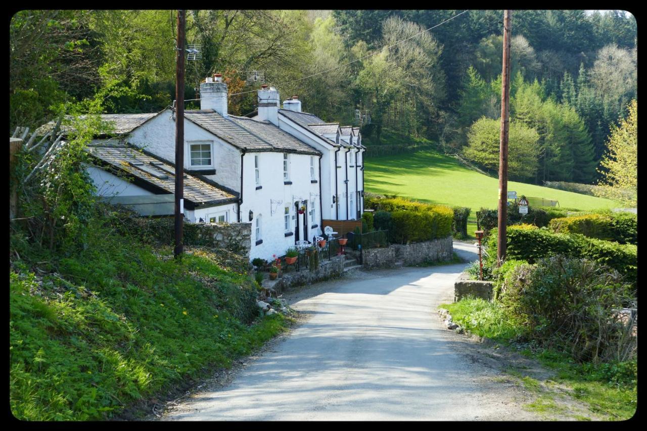 River Cottage St Asaph Kültér fotó