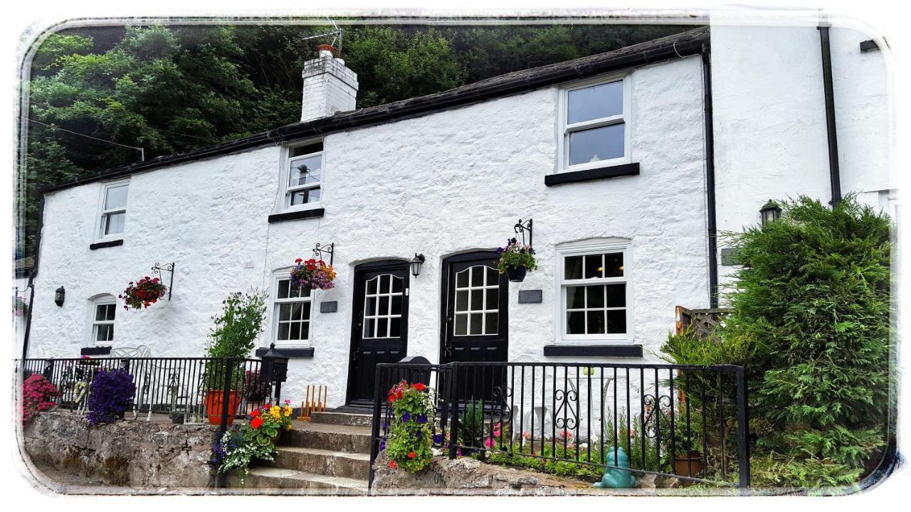 River Cottage St Asaph Kültér fotó